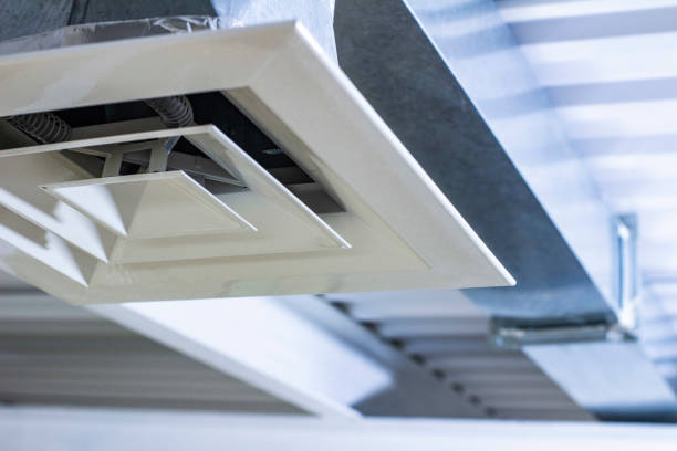 Best Affordable Air Duct Cleaning  in Vla Park, IL